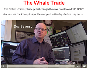 Whale Trade Review